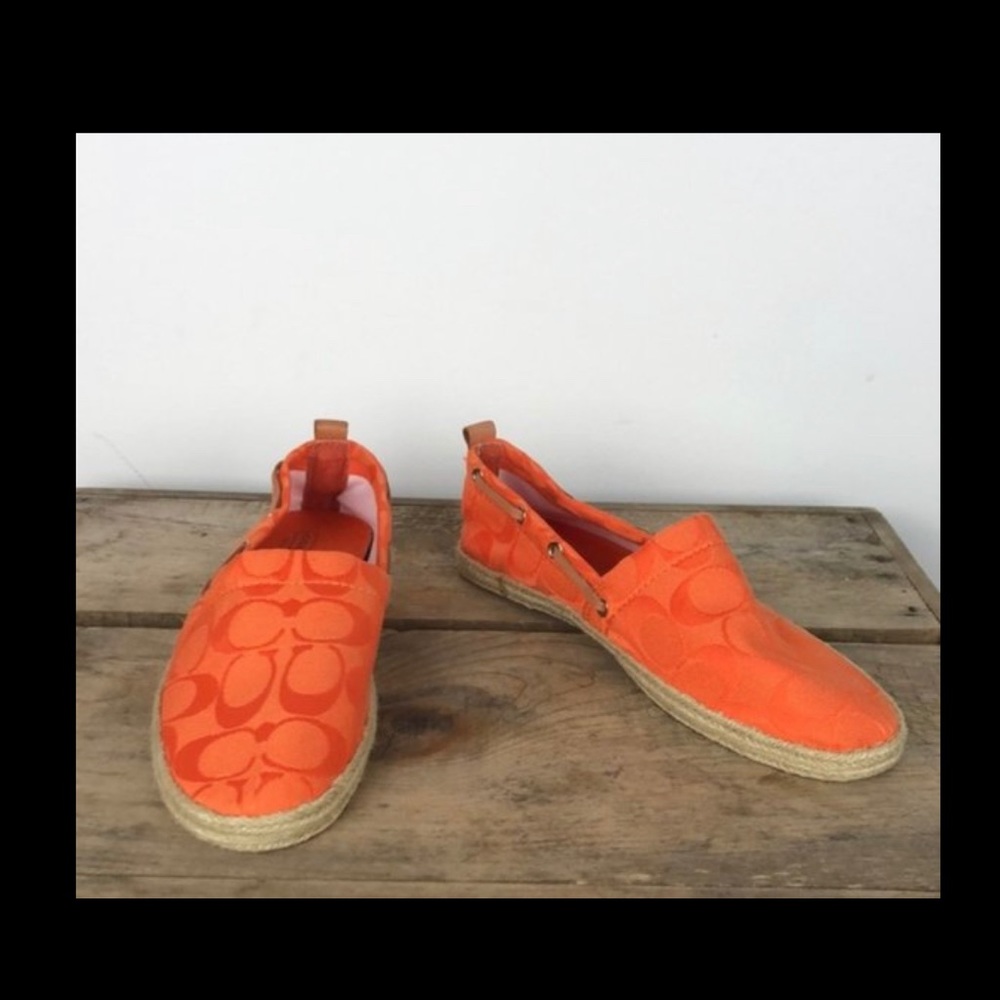 Can fit them and wrong color